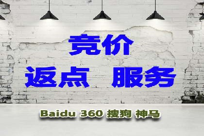 搜索引擎营销（SEM）在本地市场的投放案例